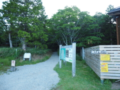 P7080002