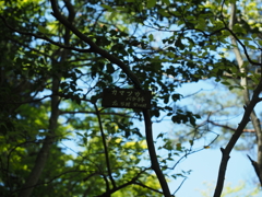 P4270058