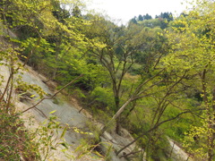P4300044