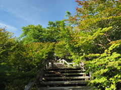 P7080066