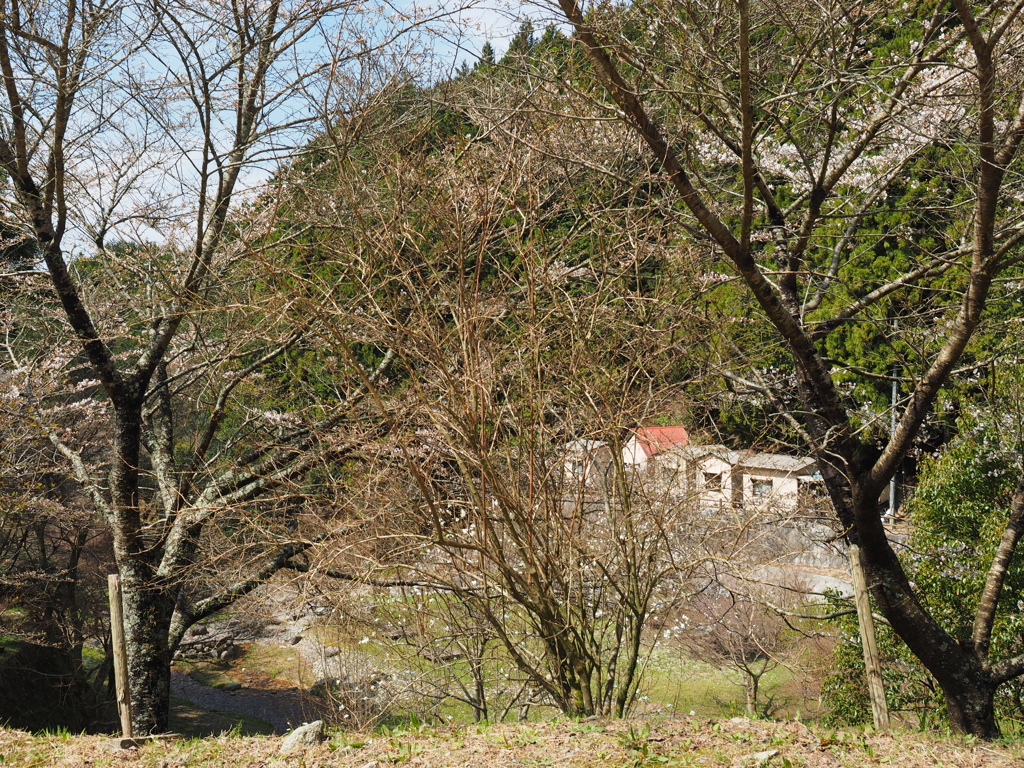 P3300002