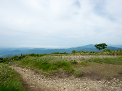 P6170082