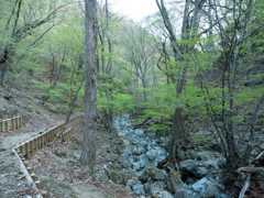 P4290010