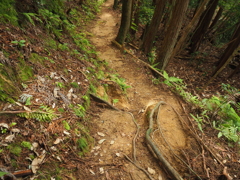 P5270054