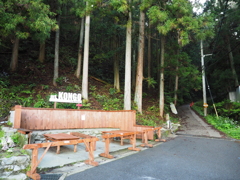 P4250005