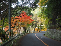 PC020043