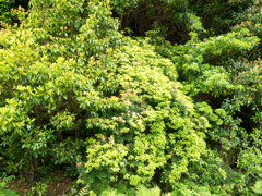 P5270037