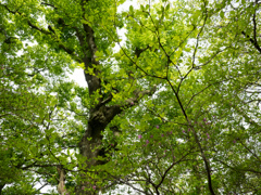 P4300058