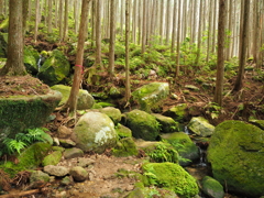 P5270066