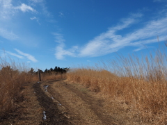 P2193795