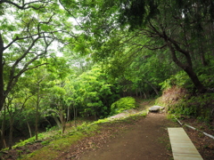 P5270273