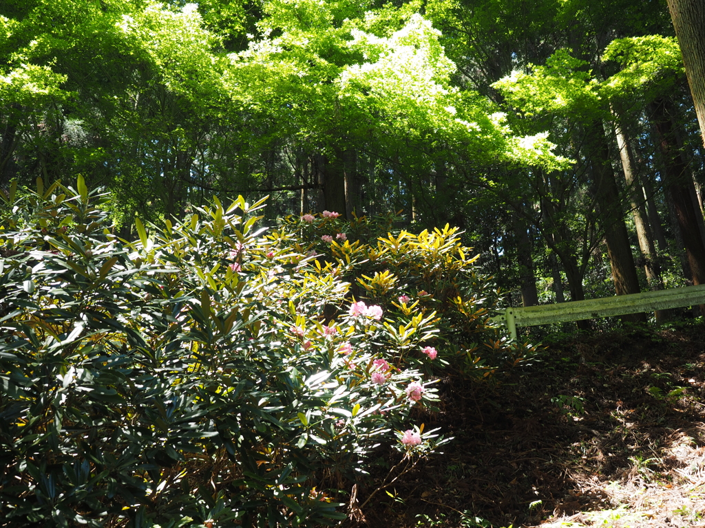P4270003
