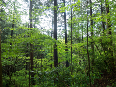 P4250016