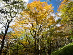 PA160226
