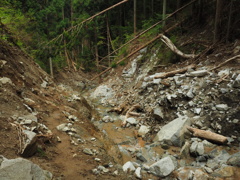 P4300146