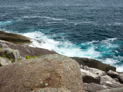 P5270191