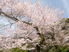 P3300077