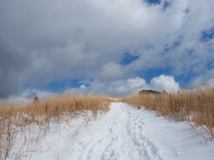P2123590