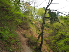 P4300069