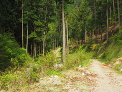 P4300153