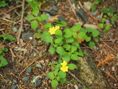 P6170101