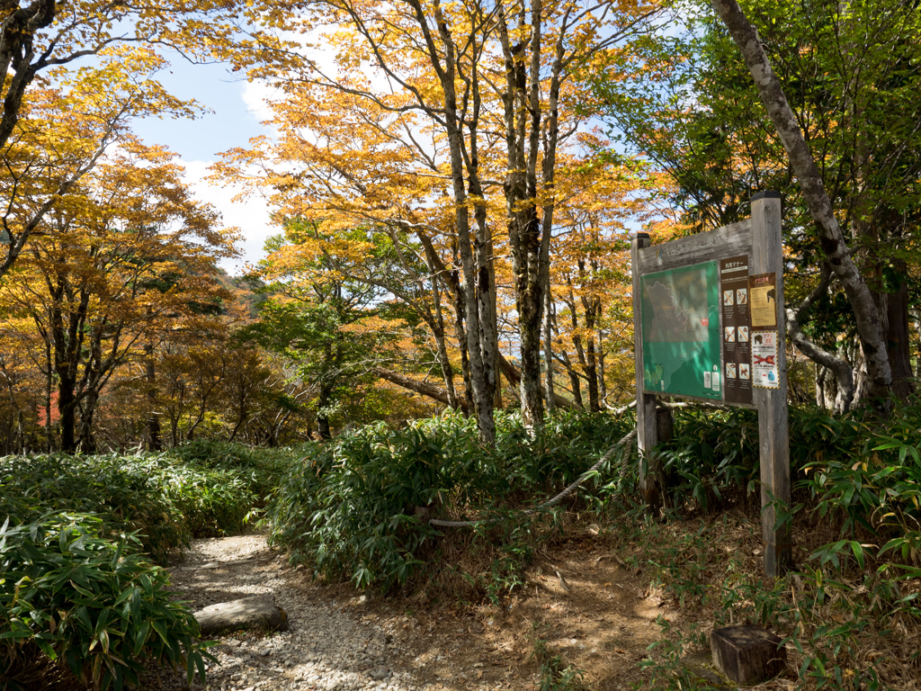PA160181