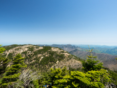 P4290242