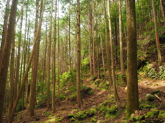 P5270049