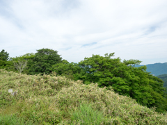 P6170083