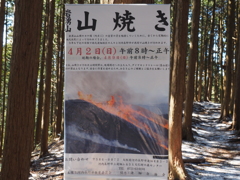 P2193763