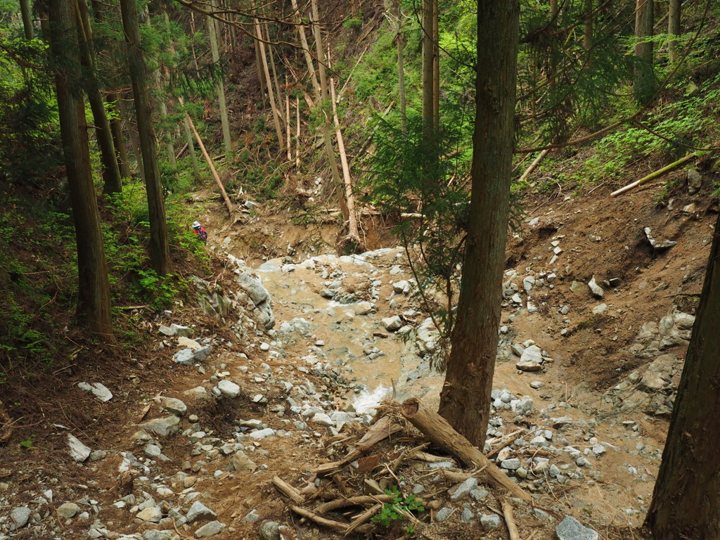 P4300152