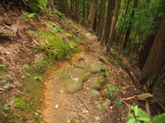 P5270064