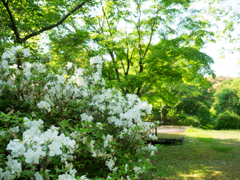 P5030069