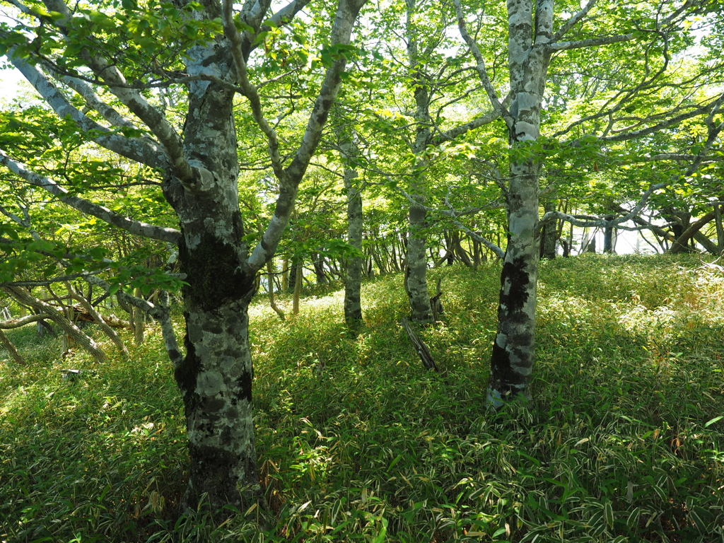 P6170288