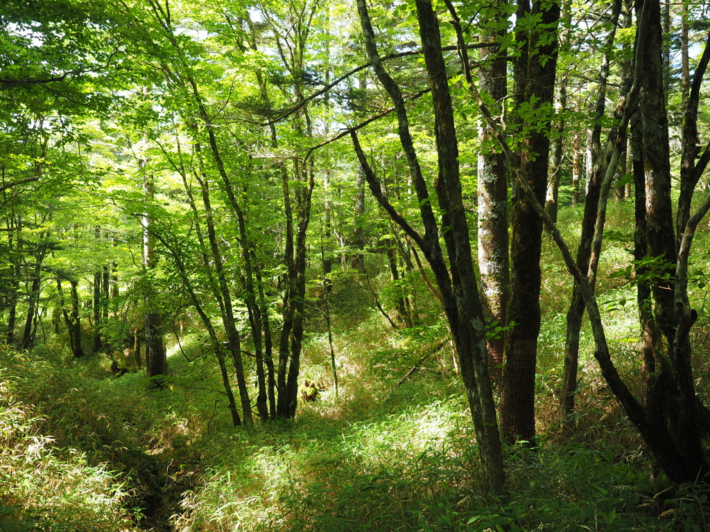 P7080220