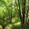 P7080220