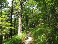 P7080231