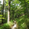 P7080231