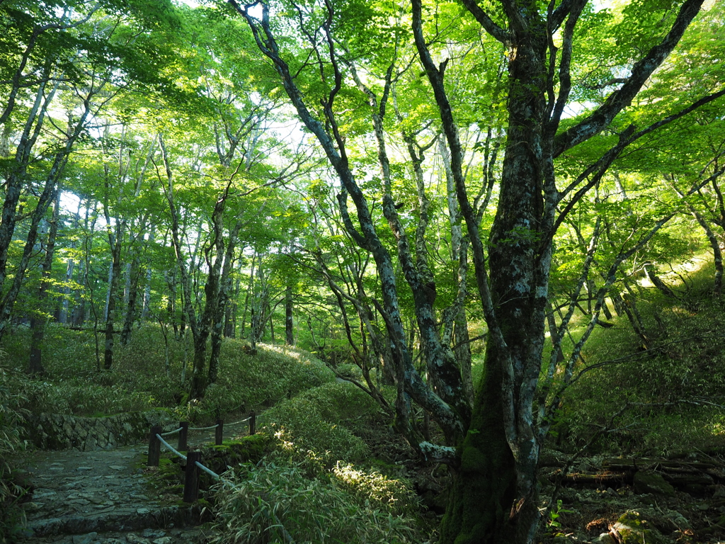 P6170050