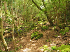 P5270113