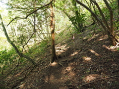 P4270248