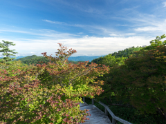 P7080075