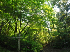 P5030036