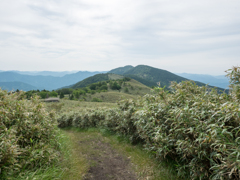 P6170078