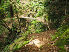 P5270264