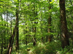 P7080235
