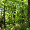 P7080235