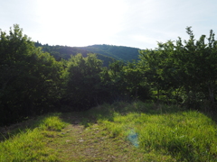P6170025