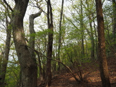 P4300062
