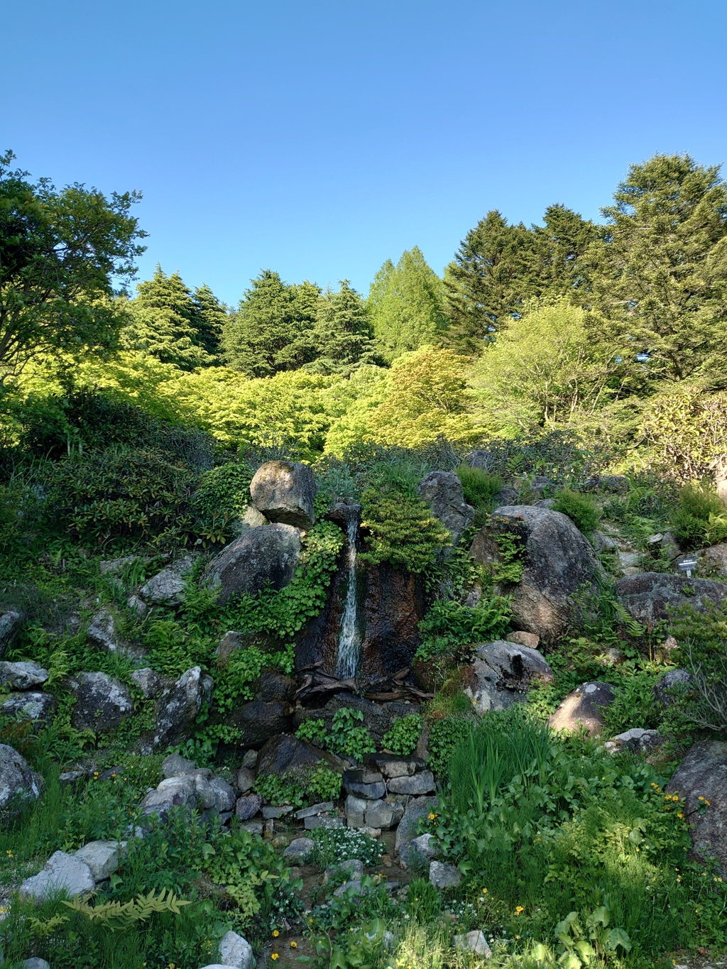 DSC_7108